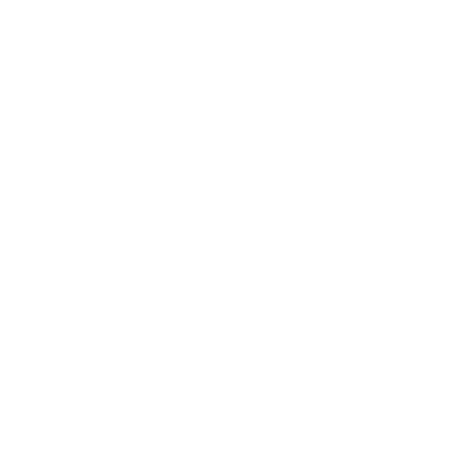 Бензиновый генератор Sigma G-2500