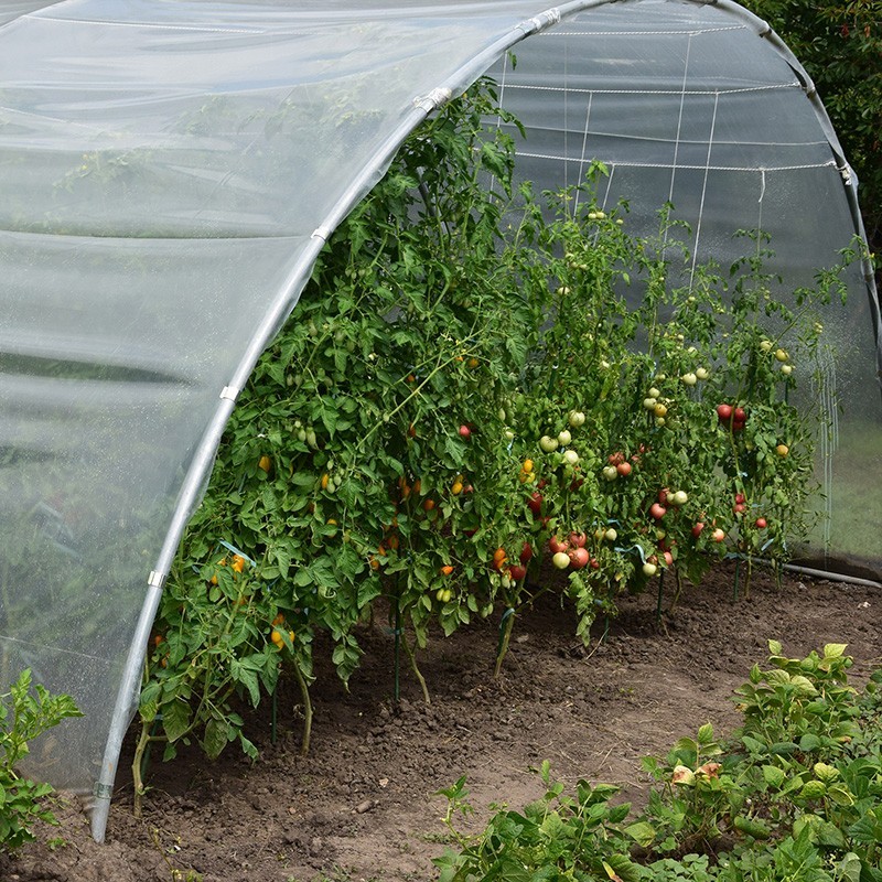 Теплица профессионального садовода Demetra Италия, 18м2,...