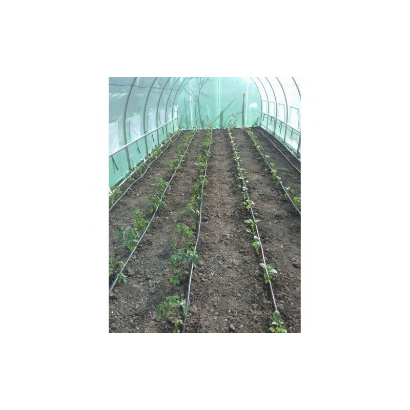 Теплица 10x3x2 m MS