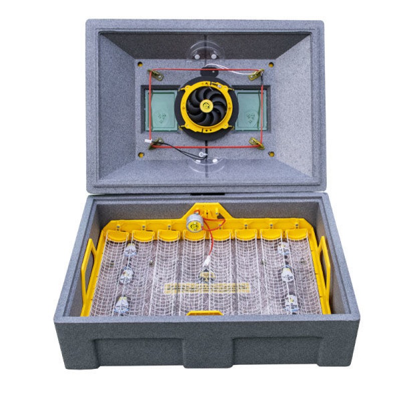 Инкубатор Теплуша 72 12/50 TAB Pro