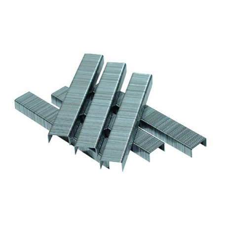 Скобы 6мм AS061