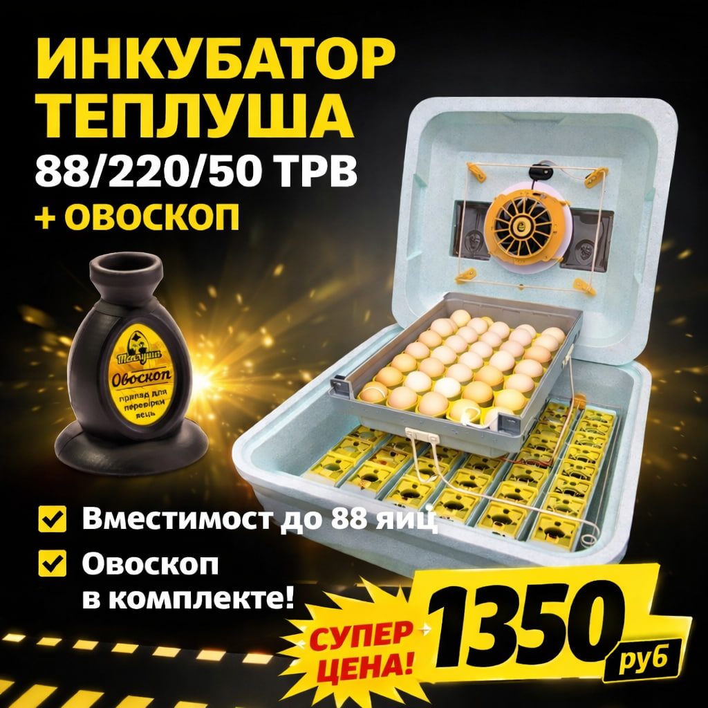 Инкубатор Теплуша 88/220/50 TPB + овоскоп